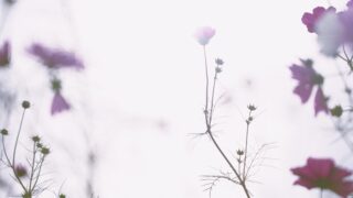 悩みの解決をイメージしたアイキャッチ画像