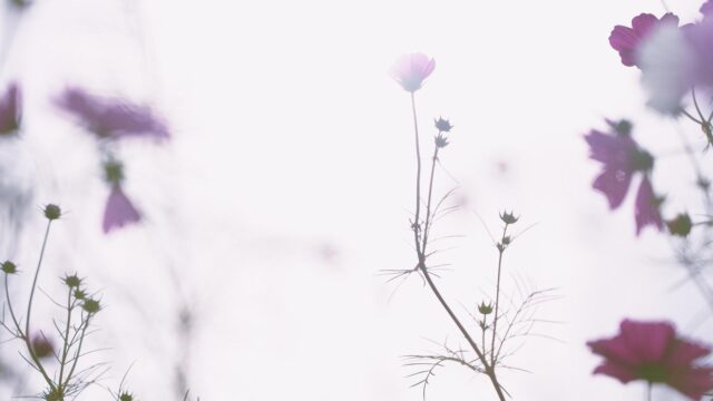 悩みの解決をイメージしたアイキャッチ画像